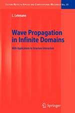 Wave Propagation in Infinite Domains: With Applications to Structure Interaction