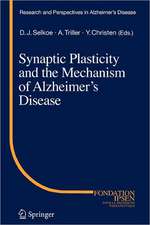 Synaptic Plasticity and the Mechanism of Alzheimer's Disease