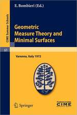 Geometric Measure Theory and Minimal Surfaces