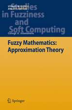 Fuzzy Mathematics: Approximation Theory