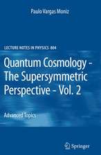 Quantum Cosmology - The Supersymmetric Perspective - Vol. 2: Advanced Topic