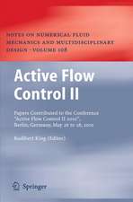 Active Flow Control II