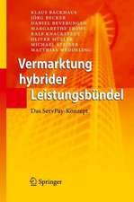 Vermarktung hybrider Leistungsbündel: Das ServPay-Konzept