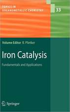 Iron Catalysis: Fundamentals and Applications