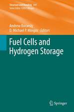 Fuel Cells and Hydrogen Storage