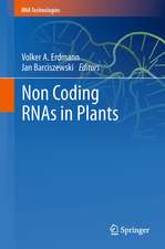 Non Coding RNAs in Plants