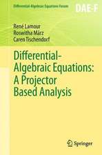 Differential-Algebraic Equations: A Projector Based Analysis