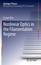 Nonlinear Optics in the Filamentation Regime