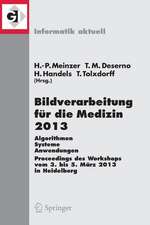 Bildverarbeitung für die Medizin 2013: Algorithmen - Systeme - Anwendungen. Proceedings des Workshops vom 3. bis 5. März 2013 in Heidelberg