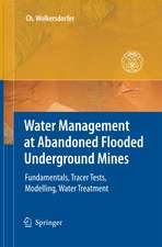 Water Management at Abandoned Flooded Underground Mines: Fundamentals, Tracer Tests, Modelling, Water Treatment