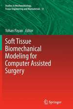 Soft Tissue Biomechanical Modeling for Computer Assisted Surgery