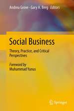 Social Business: Theory, Practice, and Critical Perspectives