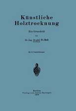 Künstliche Holztrocknung: Ein Grundriß