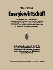 Energiewirtschaft: Grundlagen und Kostenaufbau der Gewinnung, Veredlung und des Verbrauches von Kohle, Erdöl, Gas und Elektrizität für Kraftmaschinen, Heizdampfverbraucher und Öfen in Gewerbe Haushalt und Verkehr