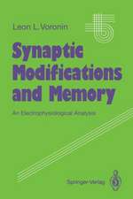 Synaptic Modifications and Memory: An Electrophysiological Analysis