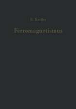 Ferromagnetismus: Mit einem Beitrag Quantentheorie und Elektronentheorie des Ferromagnetismus