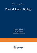 Plant Molecular Biology — A Laboratory Manual