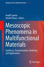 Mesoscopic Phenomena in Multifunctional Materials: Synthesis, Characterization, Modeling and Applications