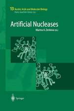 Artificial Nucleases