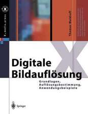 Digitale Bildauflösung: Grundlagen, Auflösungsbestimmung, Anwendungsbeispiele