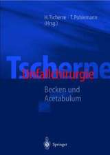 Tscherne Unfallchirurgie: Becken und Acetabulum