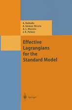 Effective Lagrangians for the Standard Model