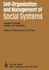 Self-Organization and Management of Social Systems: Insights, Promises, Doubts, and Questions