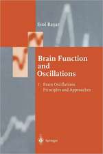 Brain Function and Oscillations: Volume I: Brain Oscillations. Principles and Approaches