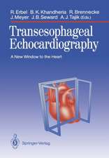 Transesophageal Echocardiography: A New Window to the Heart