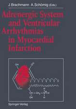 Adrenergic System and Ventricular Arrhythmias in Myocardial Infarction