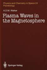 Plasma Waves in the Magnetosphere