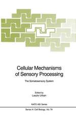 Cellular Mechanisms of Sensory Processing: The Somatosensory System