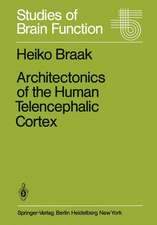 Architectonics of the Human Telencephalic Cortex