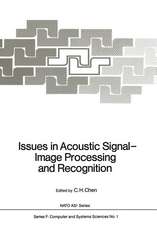 Issues in Acoustic Signal — Image Processing and Recognition