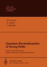 Quantum Electrodynamics of Strong Fields: With an Introduction into Modern Relativistic Quantum Mechanics