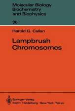 Lampbrush Chromosomes