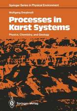 Processes in Karst Systems: Physics, Chemistry, and Geology