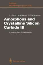 Amorphous and Crystalline Silicon Carbide III: and Other Group IV — IV Materials. Proceedings of the 3rd International Conference, Howard University, Washington, D. C., April 11 – 13, 1990