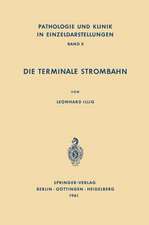 Die Terminale Strombahn