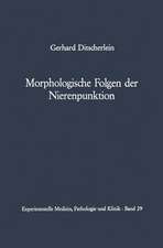 Morphologische Folgen der Nierenpunktion: Tierexperimentelle und humanpathologische Befunde