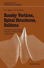 Rossby Vortices, Spiral Structures, Solitons: Astrophysics and Plasma Physics in Shallow Water Experiments