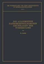 Die Allgemeinen Pathomorphologischen Grundlagen der Tuberkulose