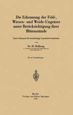 Die Erkennung der Feld-, Wiesen- und Weide-Ungräser unter Berücksichtigung ihrer Blütenstände: Zum Gebrauch für berufstätige Landwirte bearbeitet