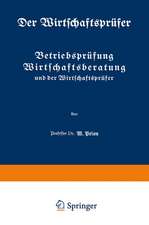 Betriebsprüfung Wirtschaftsberatung und der Wirtschaftsprüfer