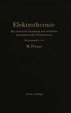 Elektrothermie: Die elektrische Erzeugung und technische Anwendung hoher Temperaturen