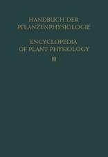 Pflanze und Wasser / Water Relations of Plants