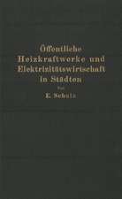 Öffentliche Heizkraftwerke und Elektrizitätswirtschaft in Städten