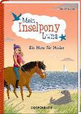 Mein Inselpony Luna (Bd. 4)