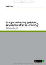 Historische Handelsstraßen im Landkreis Aue-Schwarzenberg und die Verbindung des Straßennetzes durch die Industrialisierung