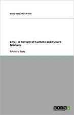 LNG - A Review of Current and Future Markets